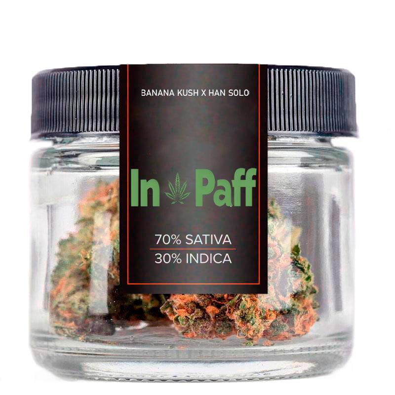 INFINITY  Secret Sky 3g pack