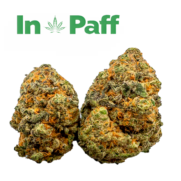 High-THC Flower – Blue Dream